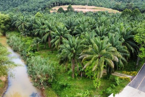 Земельный участок в Пхангнге, Таиланд № 124965 - фото 2