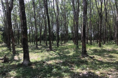 Земельный участок в Кхок Клое, Таиланд  № 124983 - фото 8