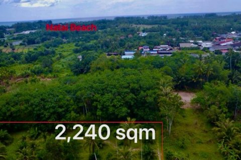 Land in Khok Kloi, Thailand № 124955 - photo 5