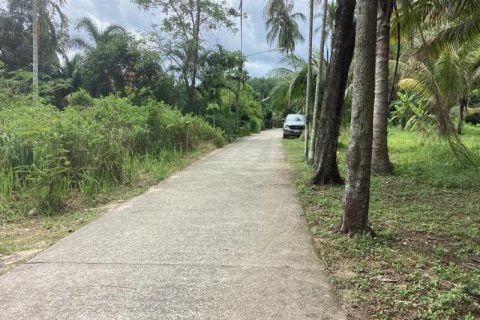 Land in Khok Kloi, Thailand № 124955 - photo 6