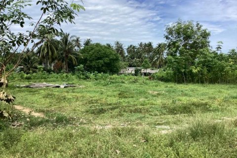 Земельный участок в Кхок Клое, Таиланд  № 124954 - фото 5