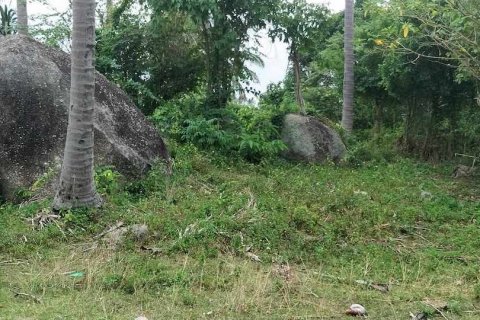 Земельный участок в Самуи, Таиланд 1м2  № 133112 - фото 10