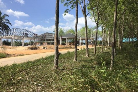 Land in Khok Kloi, Thailand № 124980 - photo 3