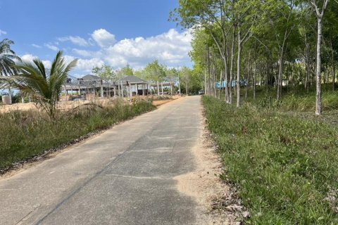 Land in Khok Kloi, Thailand № 124980 - photo 1