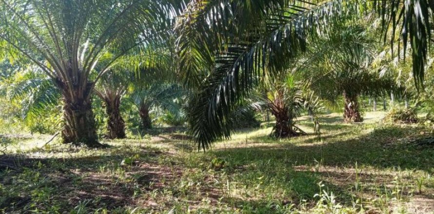 Земельный участок в Кхок Клое, Таиланд  № 124957