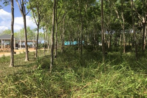 Land in Khok Kloi, Thailand № 124980 - photo 6