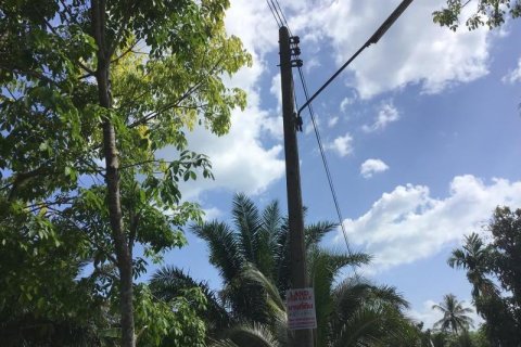 Land in Khok Kloi, Thailand № 124980 - photo 5