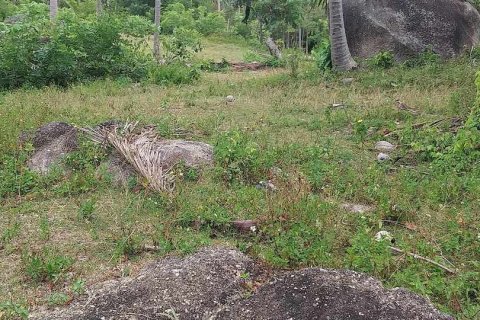 Земельный участок в Самуи, Таиланд 1м2  № 133112 - фото 7