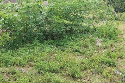 Земельный участок в Самуи, Таиланд 1м2  № 133112 - фото 9