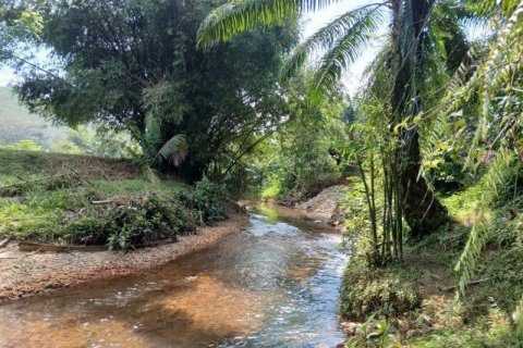 Земельный участок в Пхангнге, Таиланд  № 124972 - фото 3