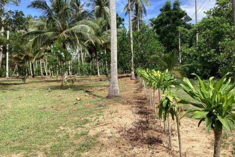 Земельный участок в Кхок Клое, Таиланд  № 124981 - фото 6