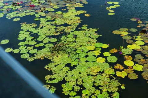 Кондоминиум с 2 спальнями в Банг Тао, Таиланд № 132083 - фото 21