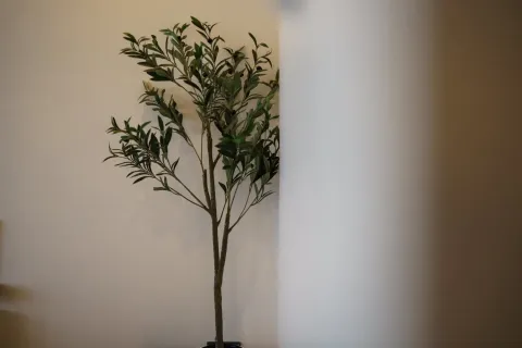 Кондоминиум с 2 спальнями в Банг Тао, Таиланд № 132083 - фото 17