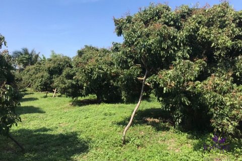 Terrain à Pa Sang, Thaïlande № 124211 - photo 7