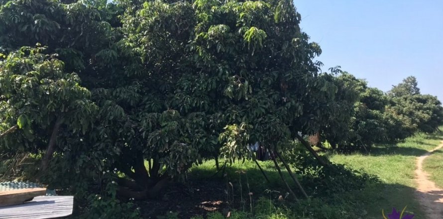 Terrain à Pa Sang, Thaïlande № 124211