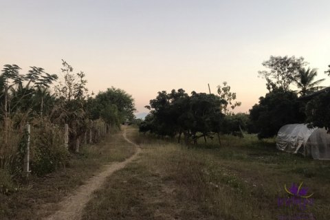 Terrain à Pa Sang, Thaïlande № 124211 - photo 5