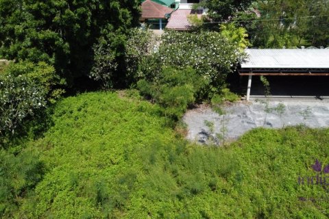 Земельный участок в Чиангмае, Таиланд  № 124210 - фото 5