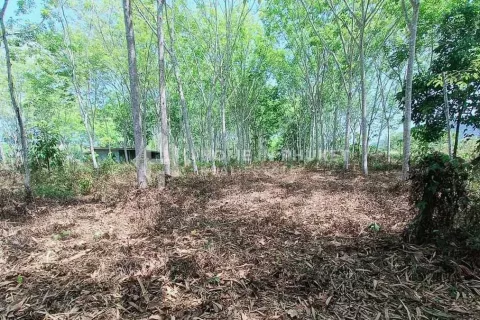 Земельный участок в Пхукете, Таиланд  № 131593 - фото 4