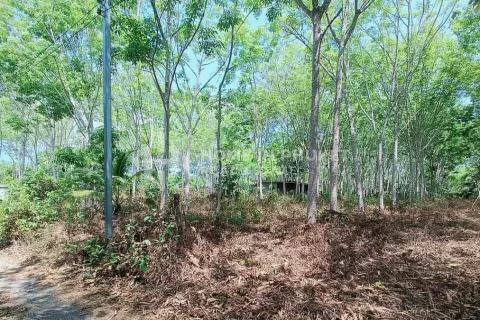 Земельный участок в Пхукете, Таиланд  № 131593 - фото 1