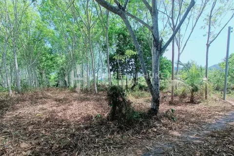 Земельный участок в Пхукете, Таиланд  № 131593 - фото 2