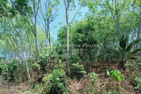 Земельный участок в Пхукете, Таиланд  № 131593 - фото 3