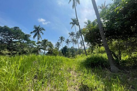 Земельный участок в Самуи, Таиланд  № 86272 - фото 2