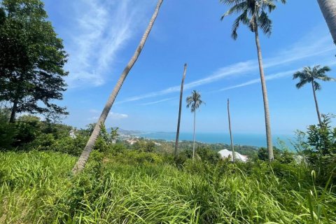 Земельный участок в Самуи, Таиланд  № 86272 - фото 3