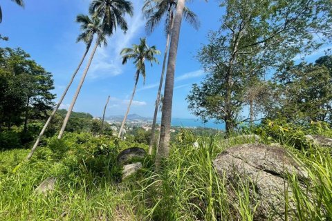 Земельный участок в Самуи, Таиланд  № 86272 - фото 5