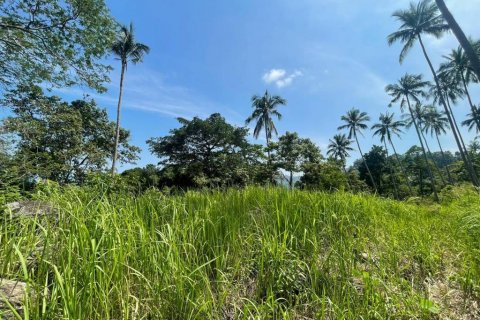 Земельный участок в Самуи, Таиланд  № 86272 - фото 6