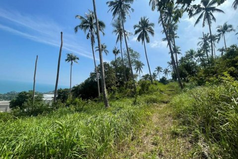 Земельный участок в Самуи, Таиланд  № 86272 - фото 1