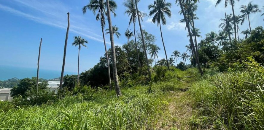 Земельный участок в Самуи, Таиланд  № 86272