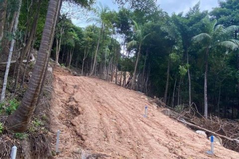 Terrain à Surat Thani, Thaïlande № 86700 - photo 9