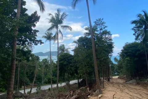 Terrain à Surat Thani, Thaïlande № 86700 - photo 2