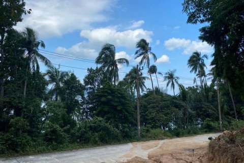 Terrain à Surat Thani, Thaïlande № 86700 - photo 7