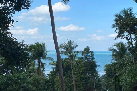 Terrain à Surat Thani, Thaïlande № 86700 - photo 1