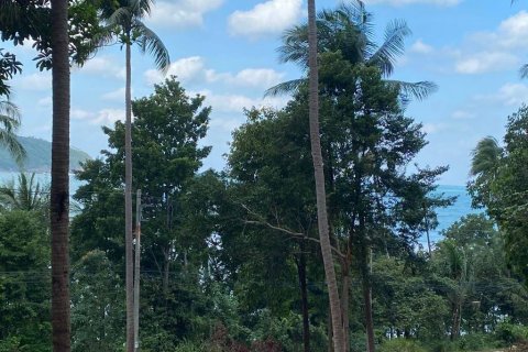 Terrain à Surat Thani, Thaïlande № 86700 - photo 3