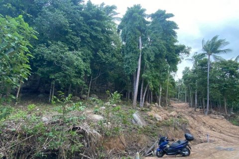 Terrain à Surat Thani, Thaïlande № 86700 - photo 8