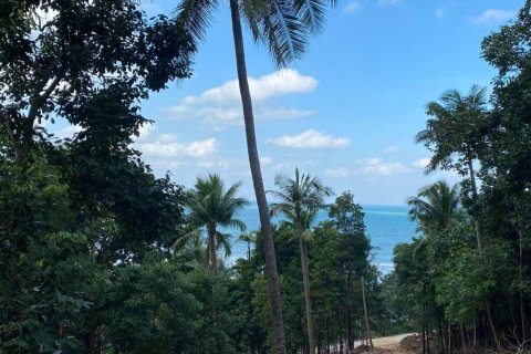 Terrain à Surat Thani, Thaïlande № 86700 - photo 4