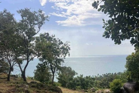 Terrain à Surat Thani, Thaïlande № 115775 - photo 3