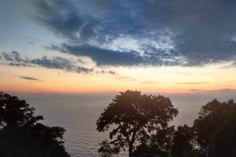 Terrain à Surat Thani, Thaïlande № 115775 - photo 2