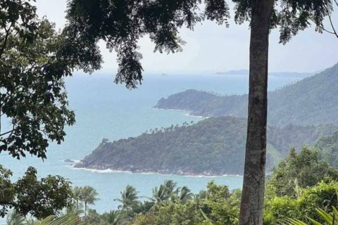 Terrain à Surat Thani, Thaïlande № 115775 - photo 1