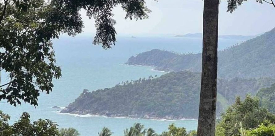 Terrain à Surat Thani, Thaïlande № 115775