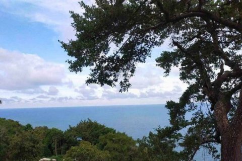 Terrain à Surat Thani, Thaïlande № 115775 - photo 4