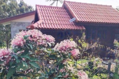 Terrain à Surat Thani, Thaïlande № 115775 - photo 5