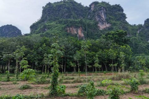 Земельный участок в Ао-Нанге, Таиланд  № 132823 - фото 4