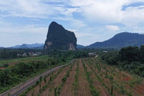 Земельный участок в Ао-Нанге, Таиланд  № 132823 - фото 5