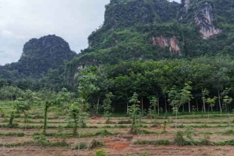 Земельный участок в Ао-Нанге, Таиланд  № 132823 - фото 8