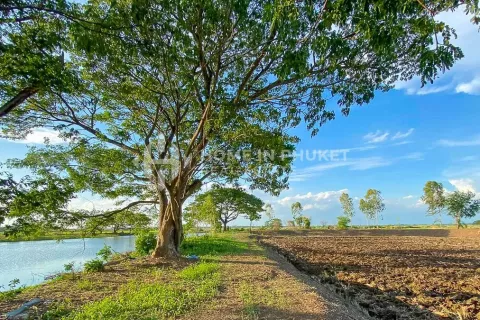 Коммерческая недвижимость в Аюттхае, Таиланд  № 131084 - фото 23
