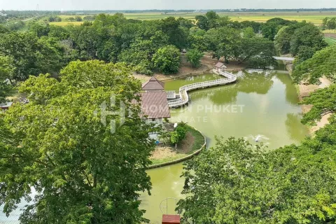 Коммерческая недвижимость в Аюттхае, Таиланд  № 131084 - фото 2