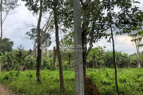 Земельный участок в Май Кхао, Таиланд  № 130920 - фото 7